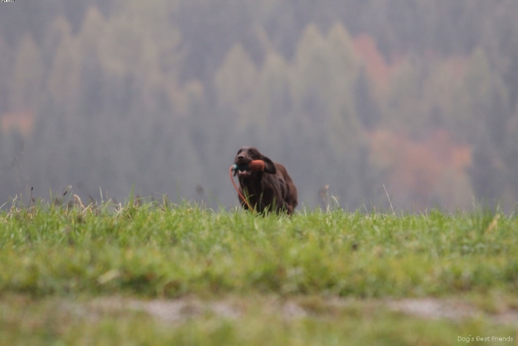 Img 1257423192 80 lg opt