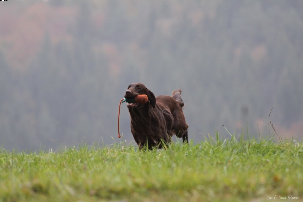 Img 1257423222 291 lg opt