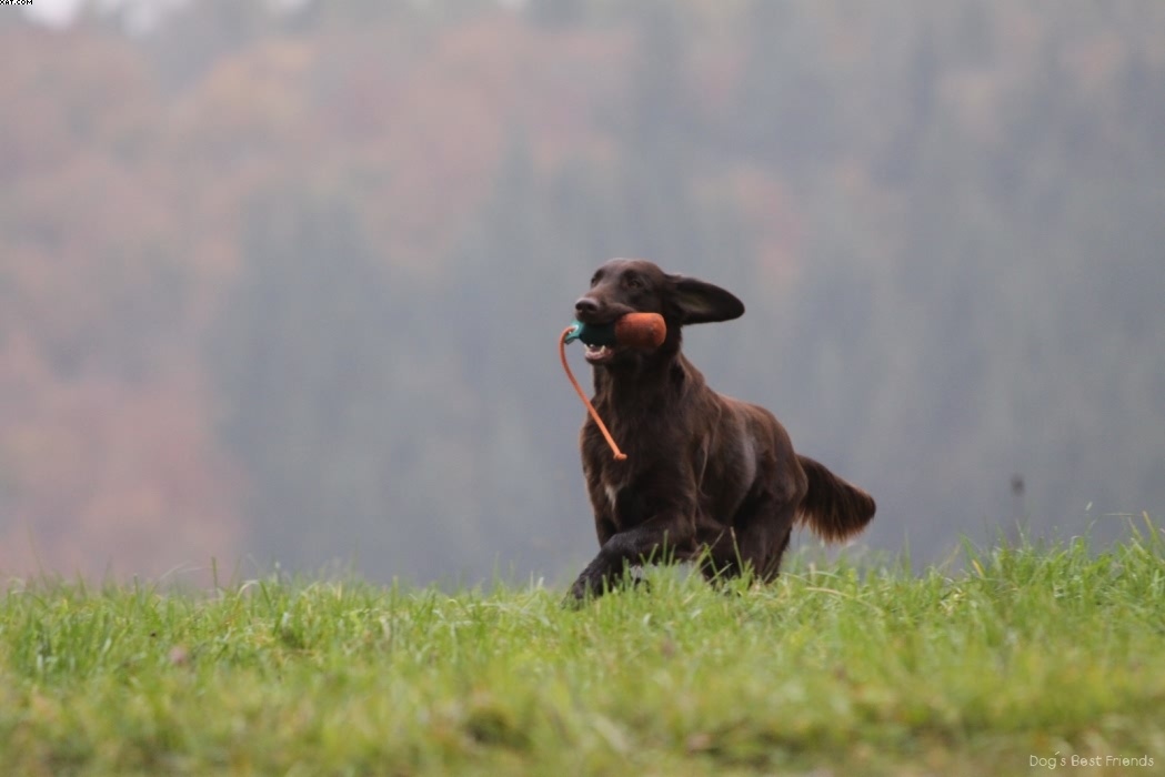 Img 1257423252 959 lg opt