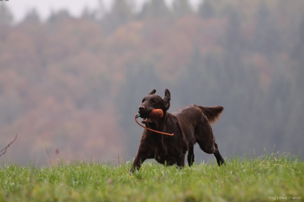 Img 1257423283 240 lg opt