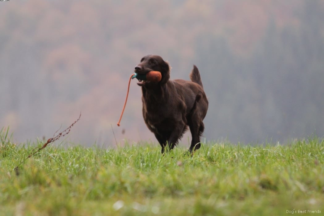 Img 1257423313 256 lg opt