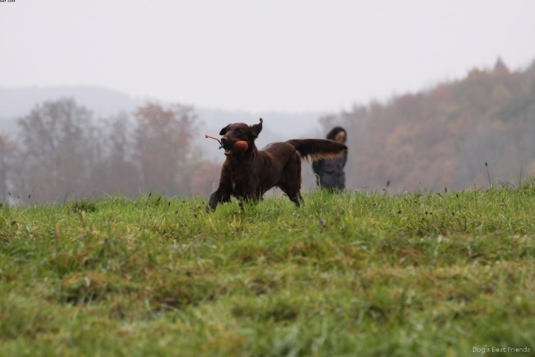 Img 1257423343 862 lg opt