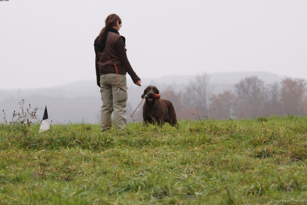 Img 1257423377 264 lg opt