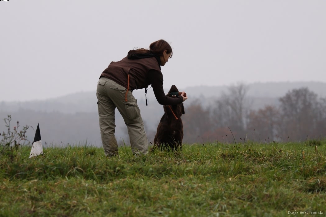 Img 1257423403 871 lg opt