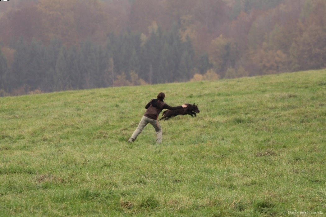 Img 1257423446 134 lg opt