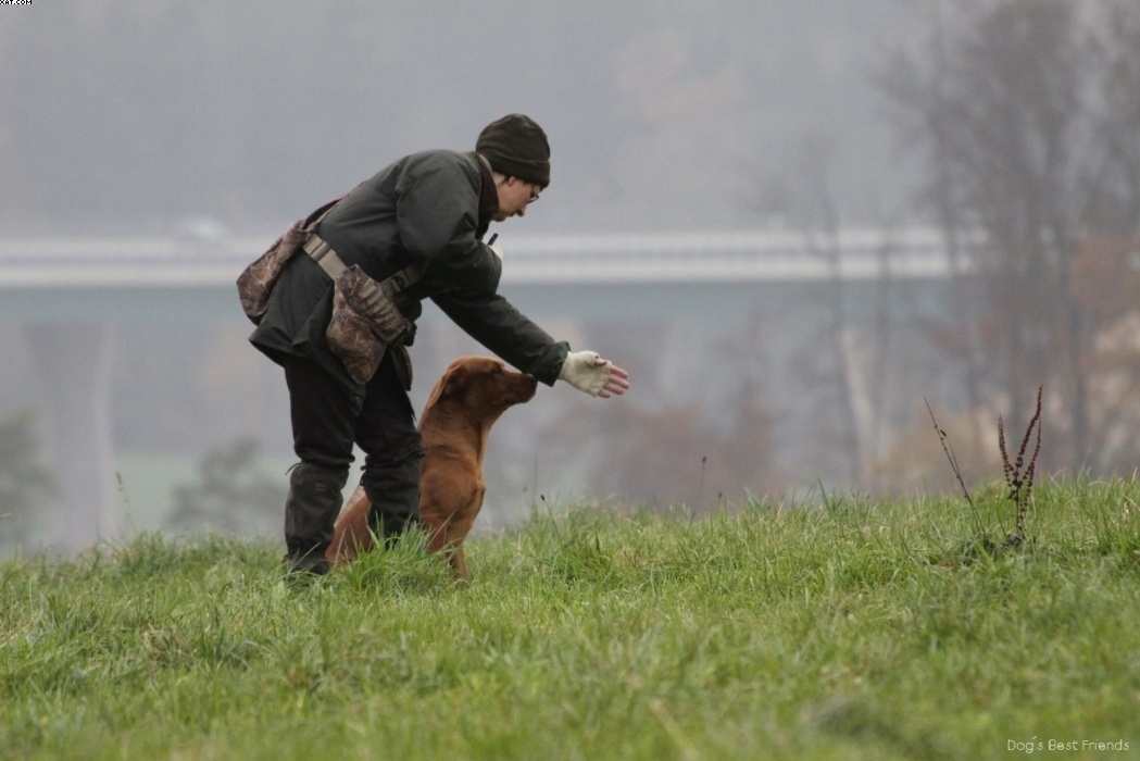 Img 1257423478 685 lg opt