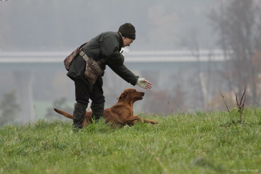 Img 1257423510 886 lg opt