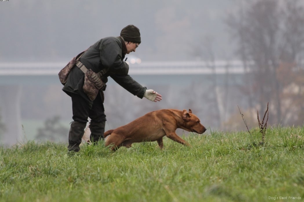 Img 1257423539 209 lg opt