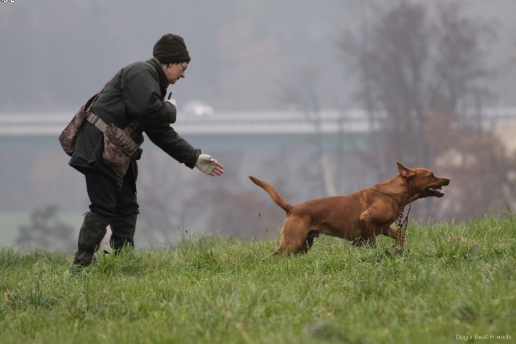 Img 1257423567 56 lg opt