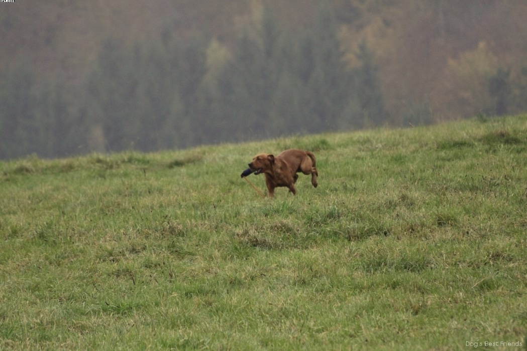 Img 1257423612 84 lg opt