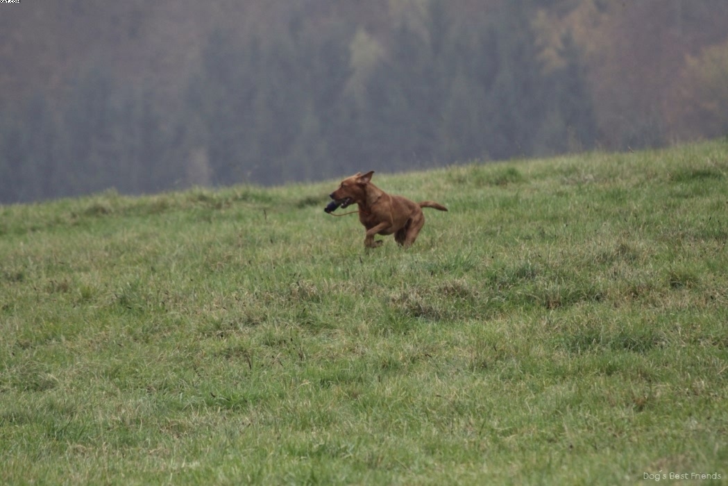 Img 1257423658 541 lg opt