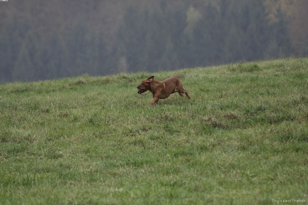 Img 1257423707 44 lg opt