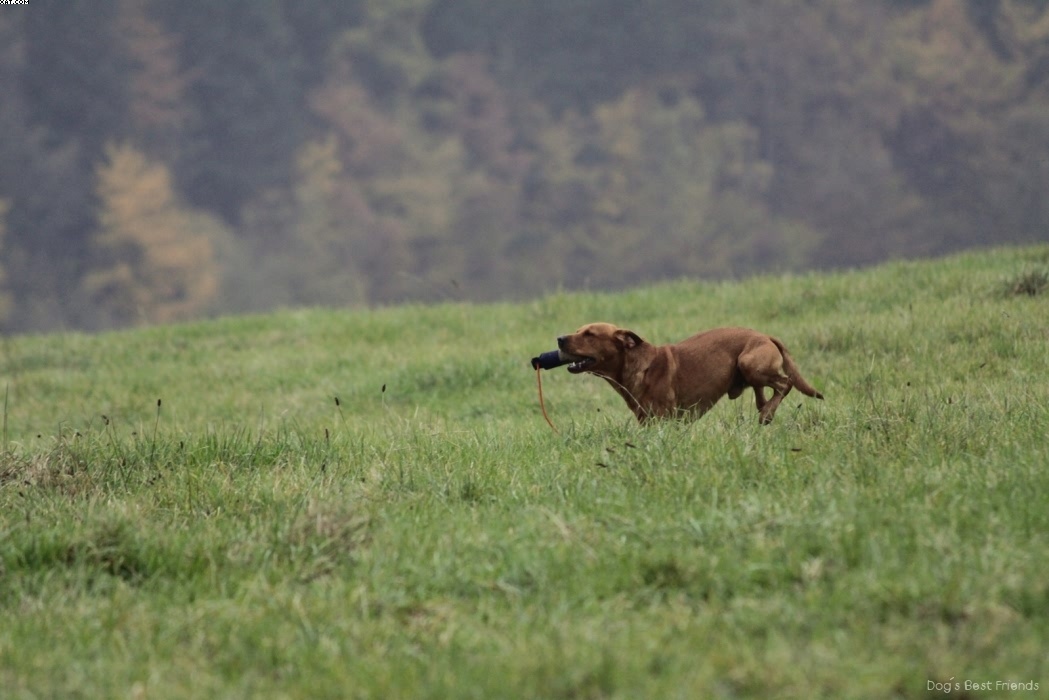 Img 1257423739 53 lg opt