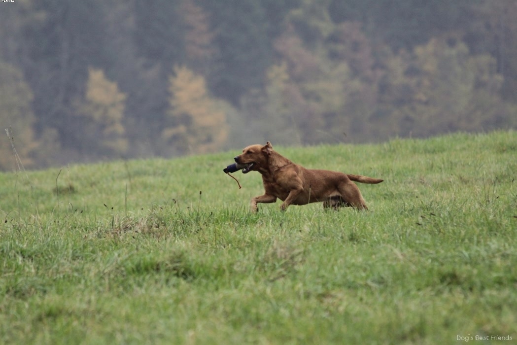 Img 1257423772 931 lg opt