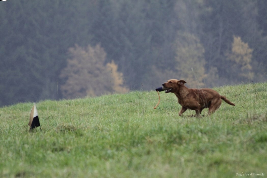 Img 1257423840 741 lg opt