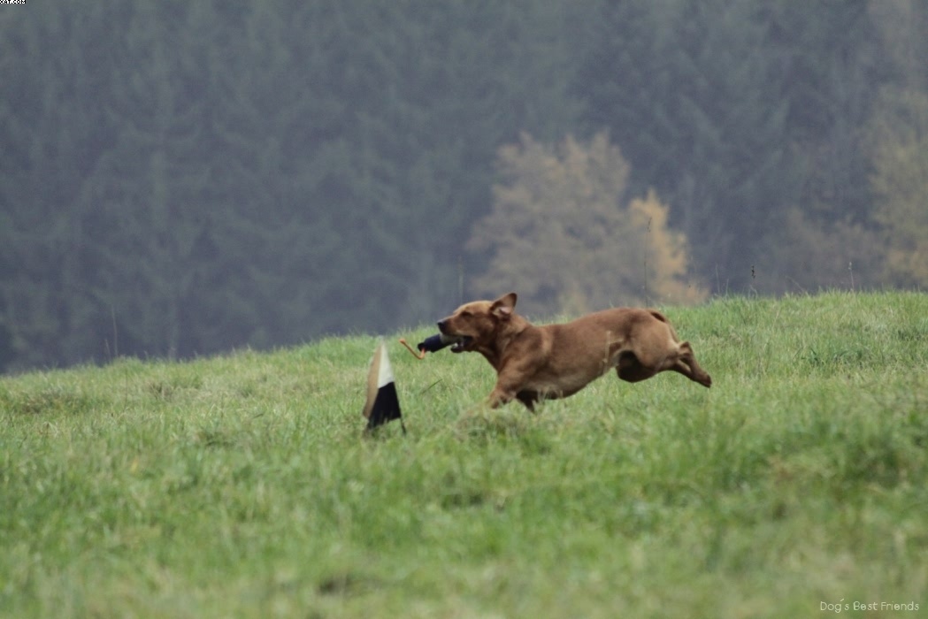 Img 1257423869 594 lg opt