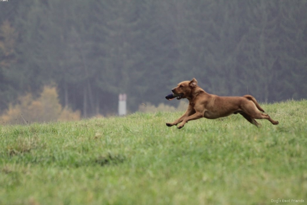 Img 1257423897 456 lg opt