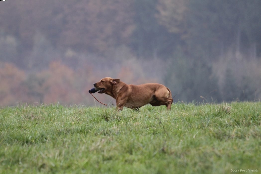 Img 1257423929 974 lg opt