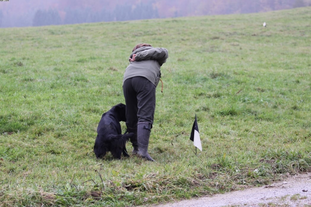 Img 1257423982 19 lg opt