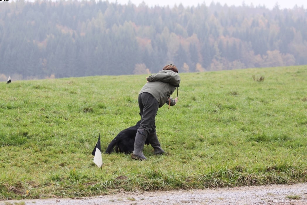 Img 1257424033 682 lg opt