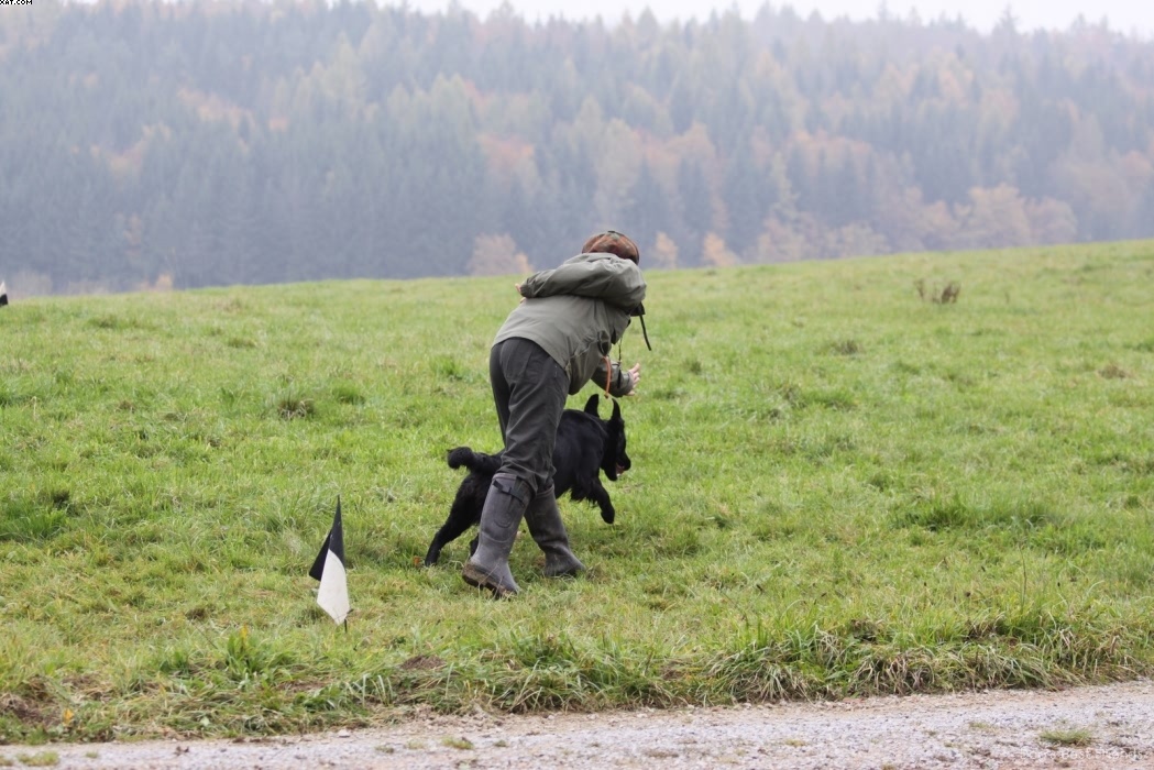 Img 1257424082 616 lg opt