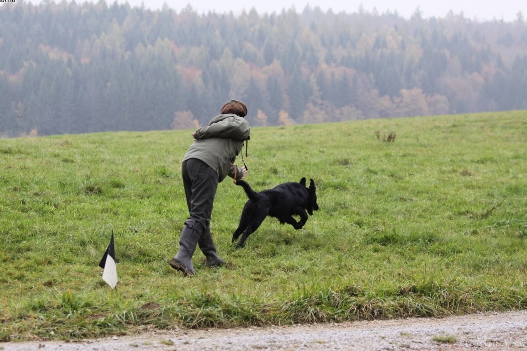 Img 1257424133 762 lg opt