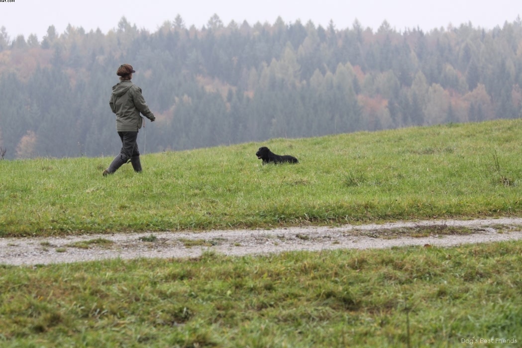 Img 1257424176 76 lg opt