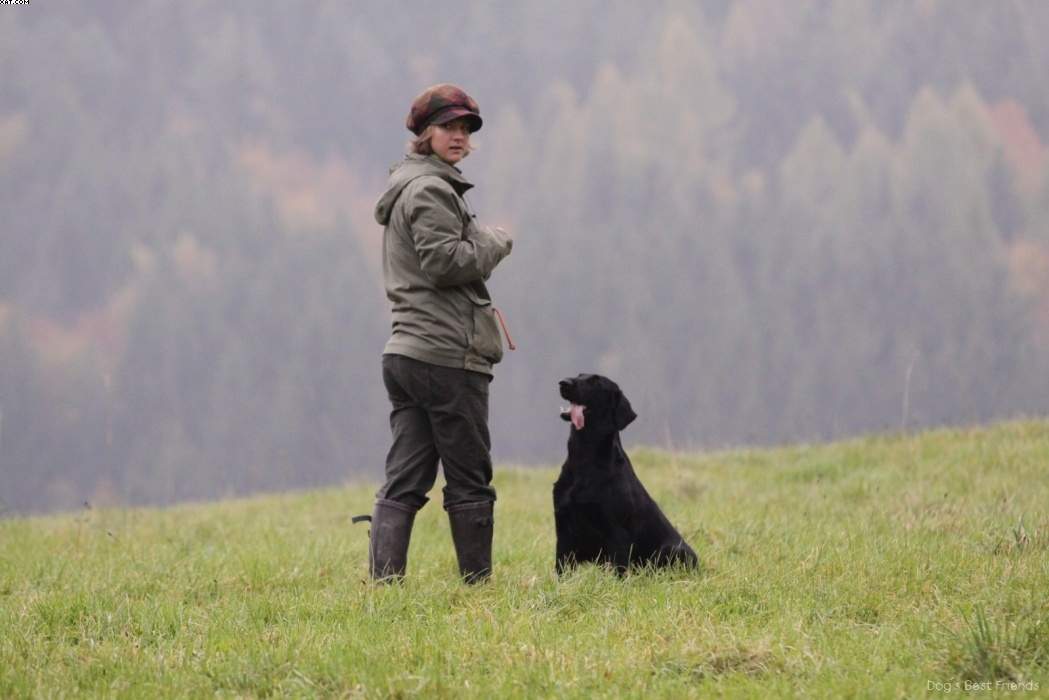 Img 1257424206 606 lg opt