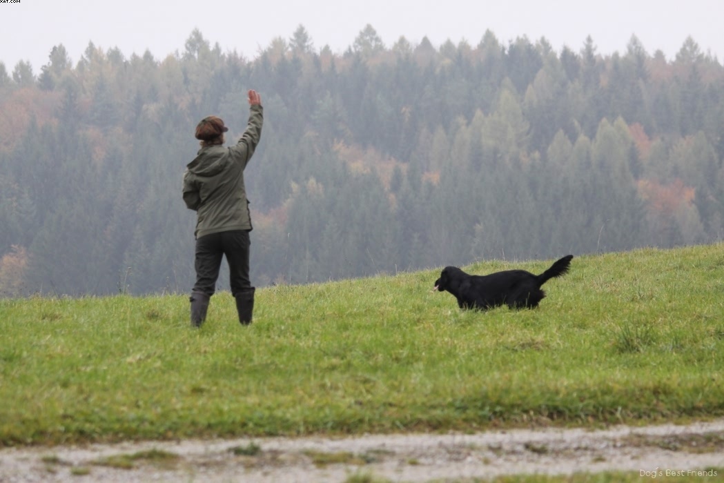 Img 1257424236 638 lg opt