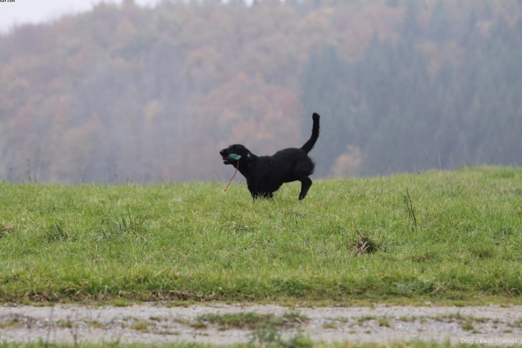 Img 1257424271 282 lg opt