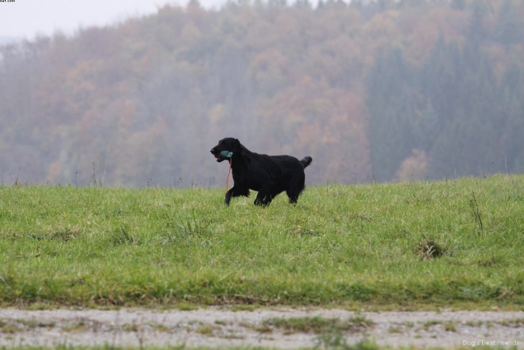 Img 1257424307 304 lg opt