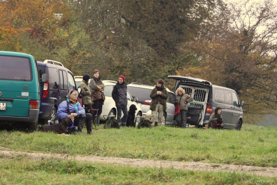 Img 1257424355 211 lg opt