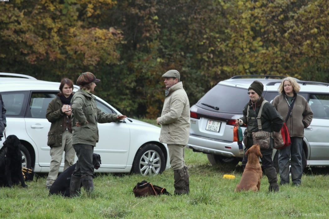 Img 1257424394 4 lg opt