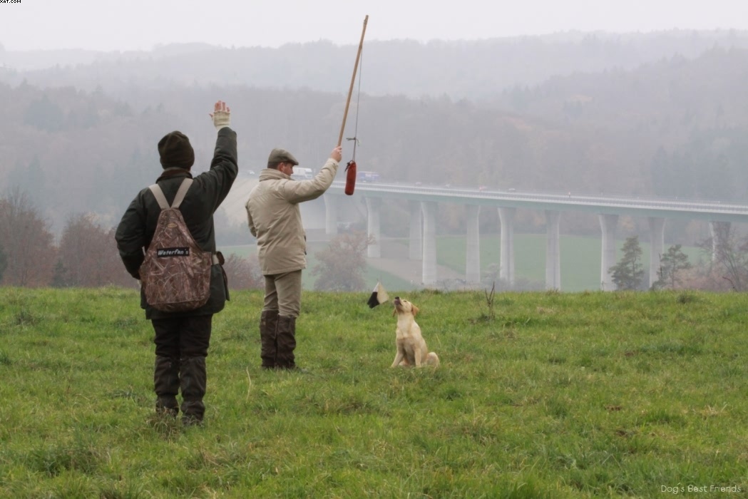 Img 1257424466 853 lg opt