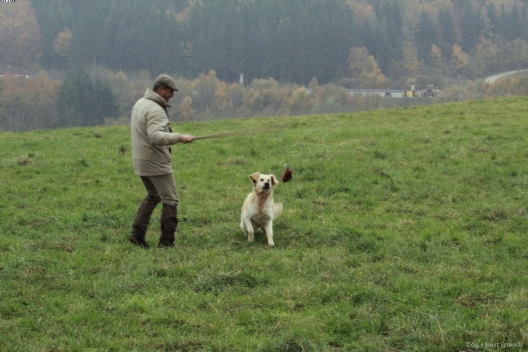 Img 1257424539 935 lg opt