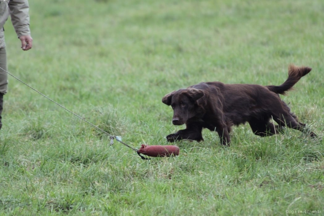 Img 1257424575 344 lg opt