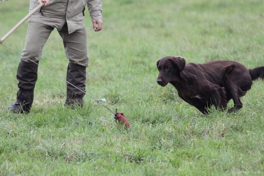 Img 1257424617 519 lg opt