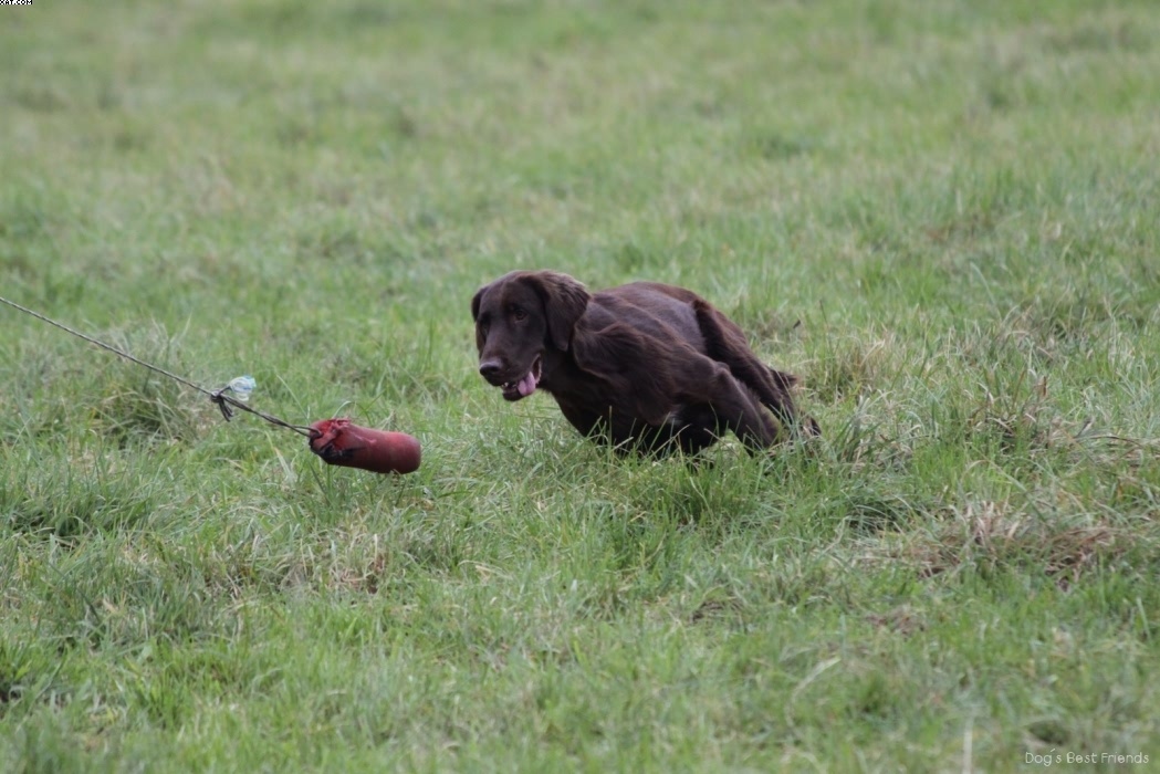 Img 1257424656 633 lg opt