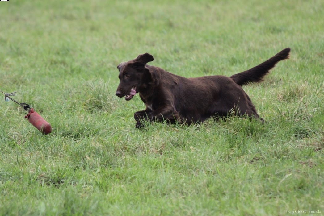 Img 1257424696 642 lg opt