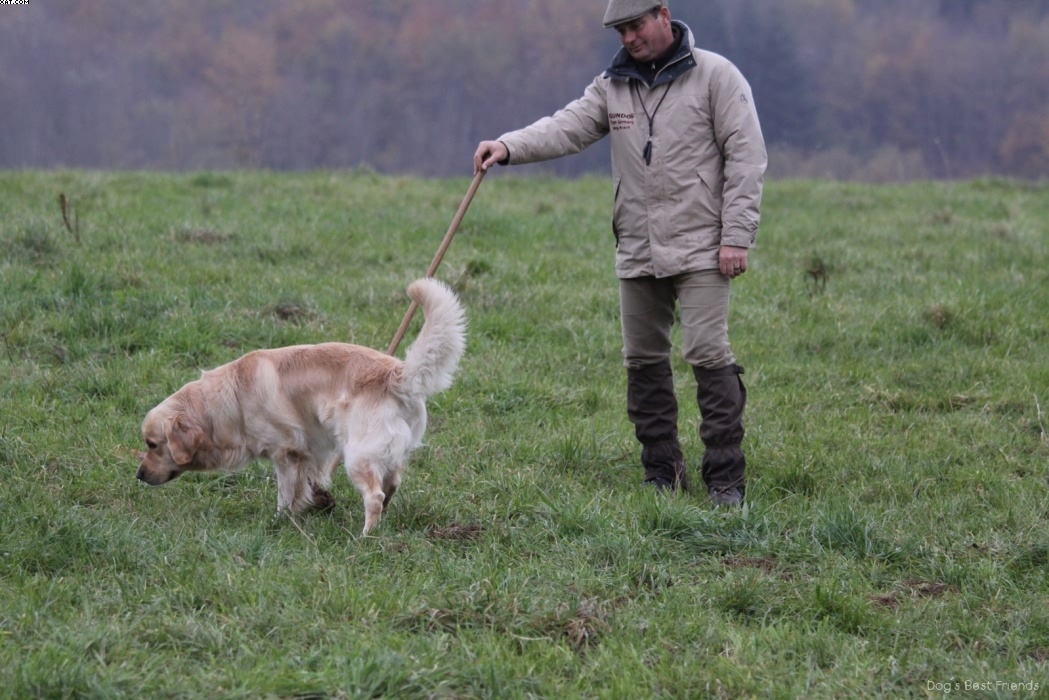 Img 1257424738 101 lg opt