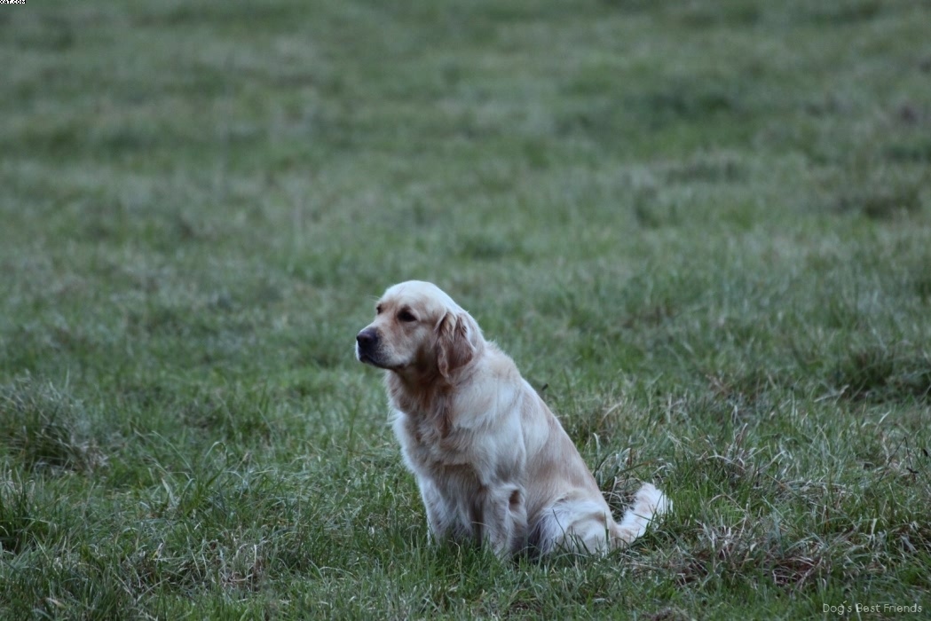 Img 1257424775 903 lg opt