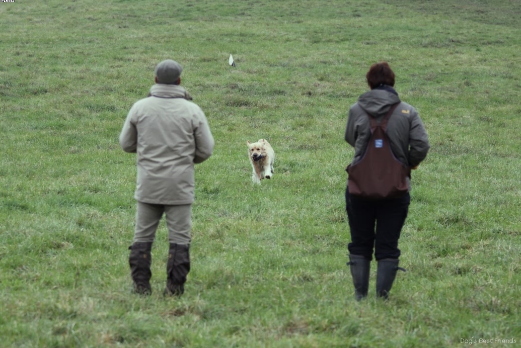 Img 1257424823 501 lg opt