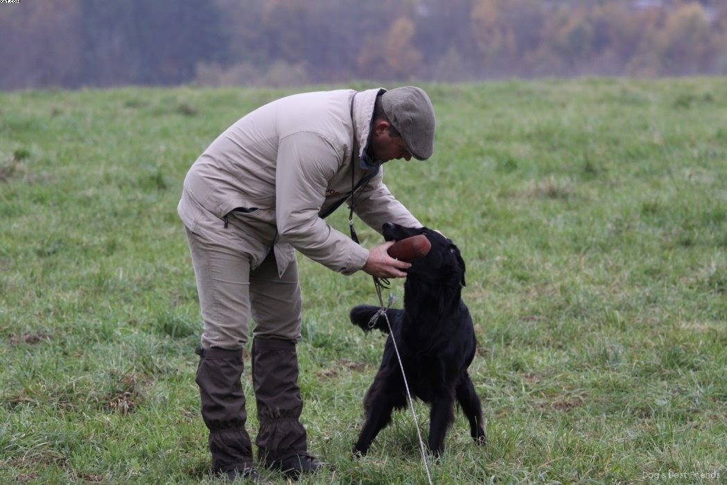 Img 1257424867 48 lg opt