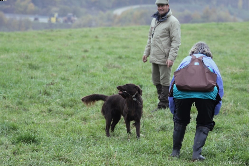 Img 1257424906 882 lg opt