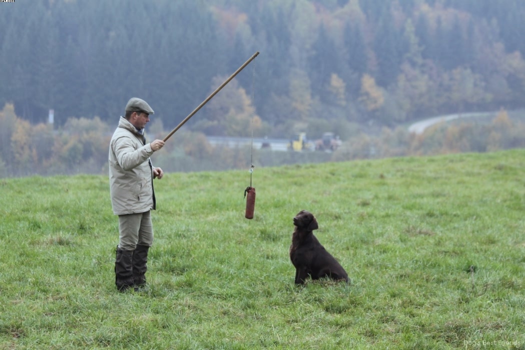 Img 1257424945 132 lg opt