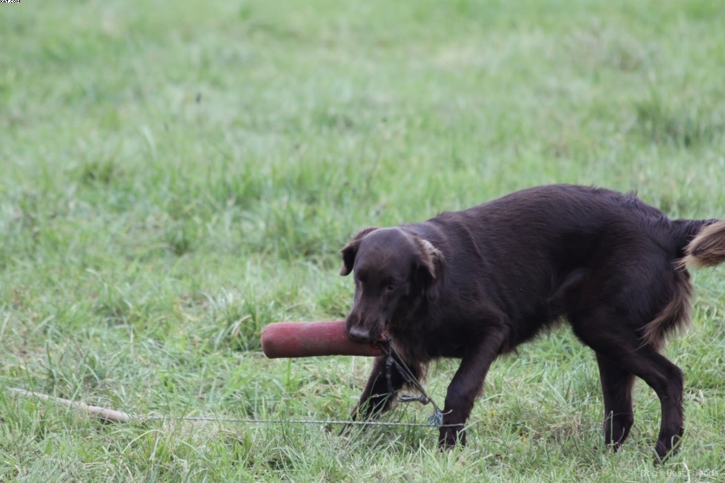 Img 1257424980 210 lg opt