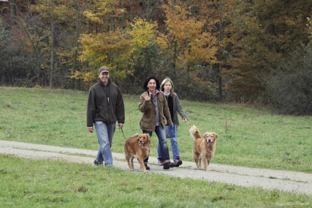 Img 1257425026 992 lg opt