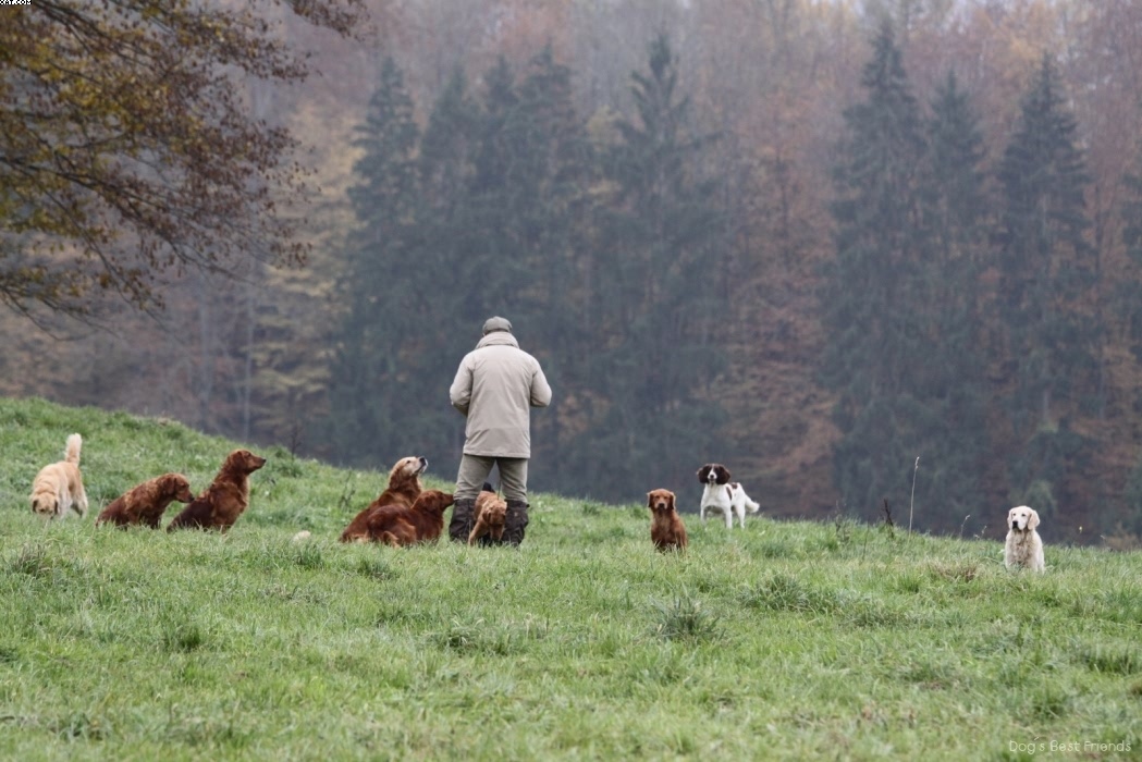 Img 1257425065 533 lg opt