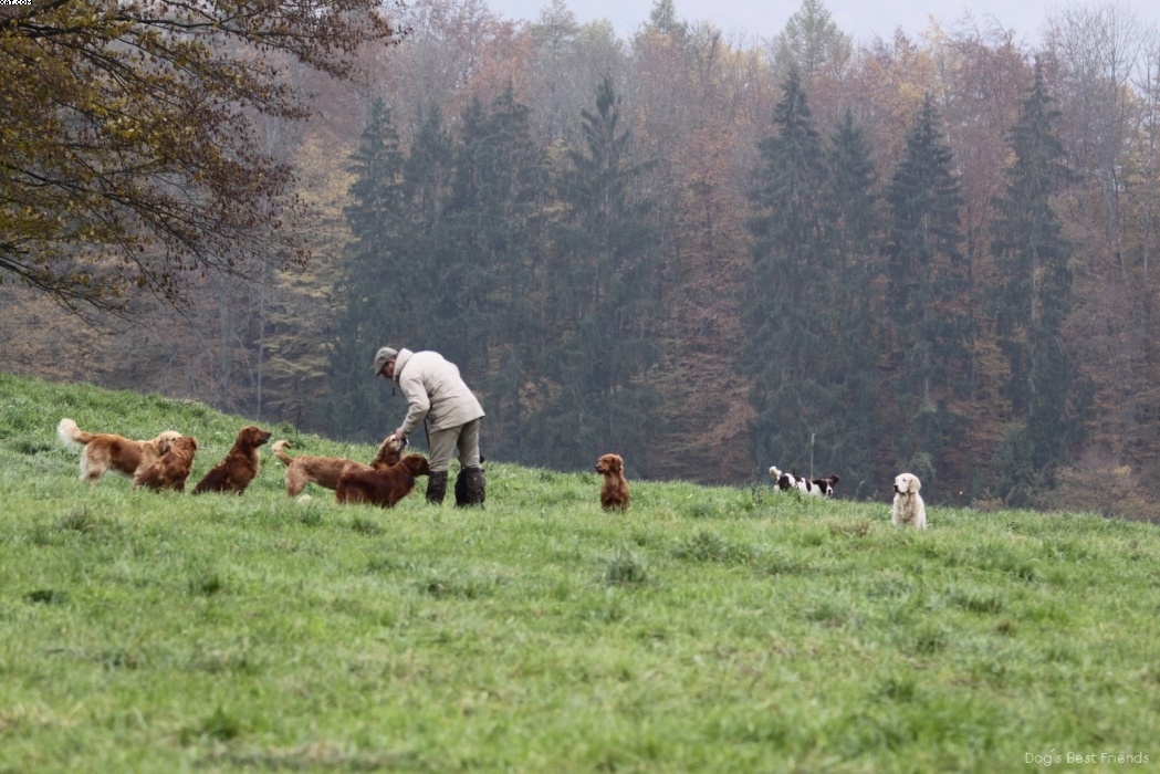 Img 1257425110 44 lg opt