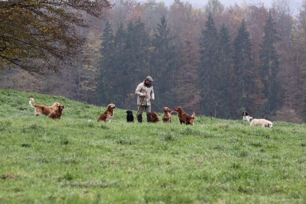 Img 1257425153 929 lg opt